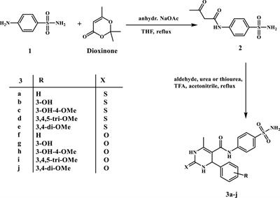 Design and synthesis of new dihydropyrimidine/sulphonamide hybrids as promising anti-inflammatory agents via dual mPGES-1/5-LOX inhibition